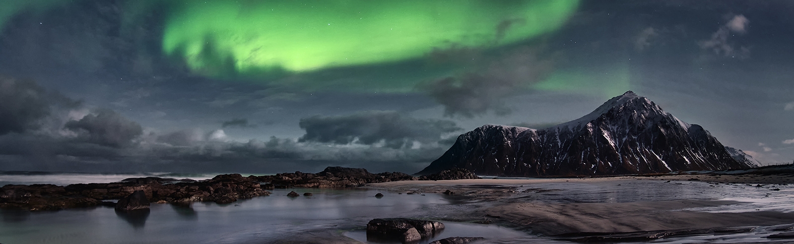 Nature Photo Team, Антон Агарков, Владимир Кириллов, Дмитрий Питенин, Елизавета Белоусова, Кирилл Уютнов, Константин Шамин